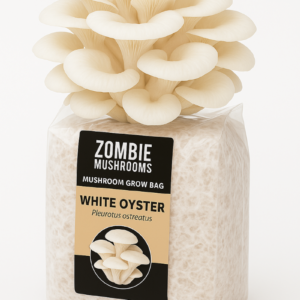 White Oyster Mushroom Grow Kit - Ready To Fruit Mushroom Bag - 5lb