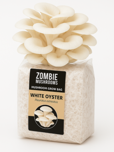 White Oyster Mushroom Grow Kit - Ready To Fruit Mushroom Bag - 5lb