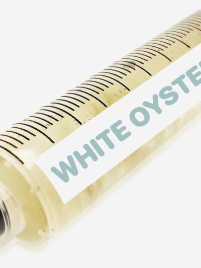 White Oyster Liquid Culture Syringe 10mL